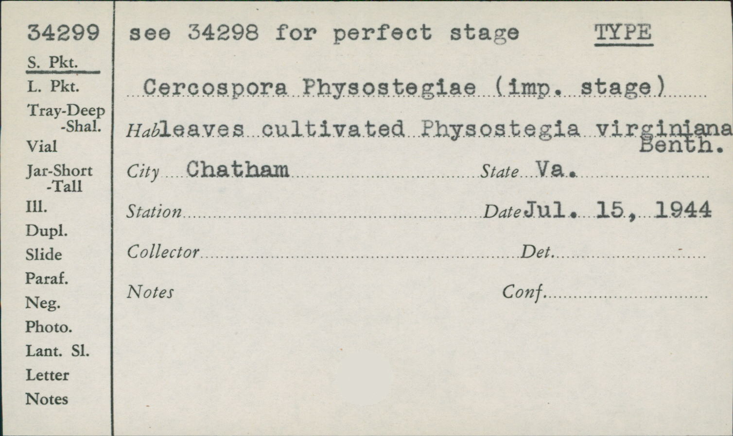 Pseudocercospora physostegiae image