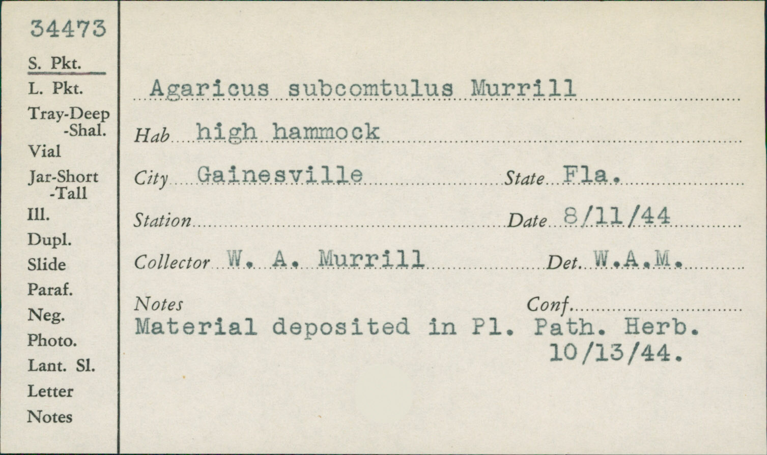 Agaricus subcomtulus image