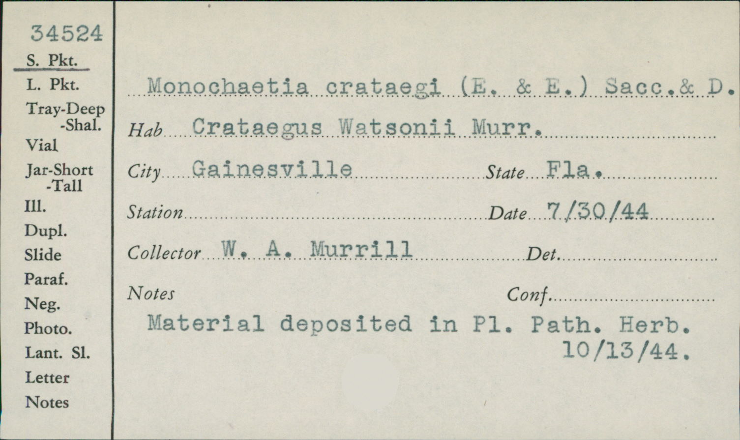 Monochaetia crataegi image