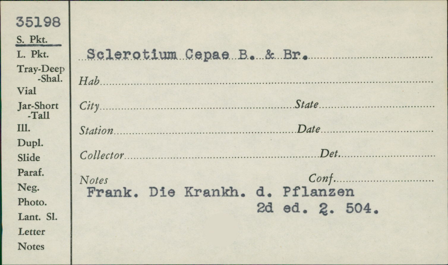 Sclerotium cepae image