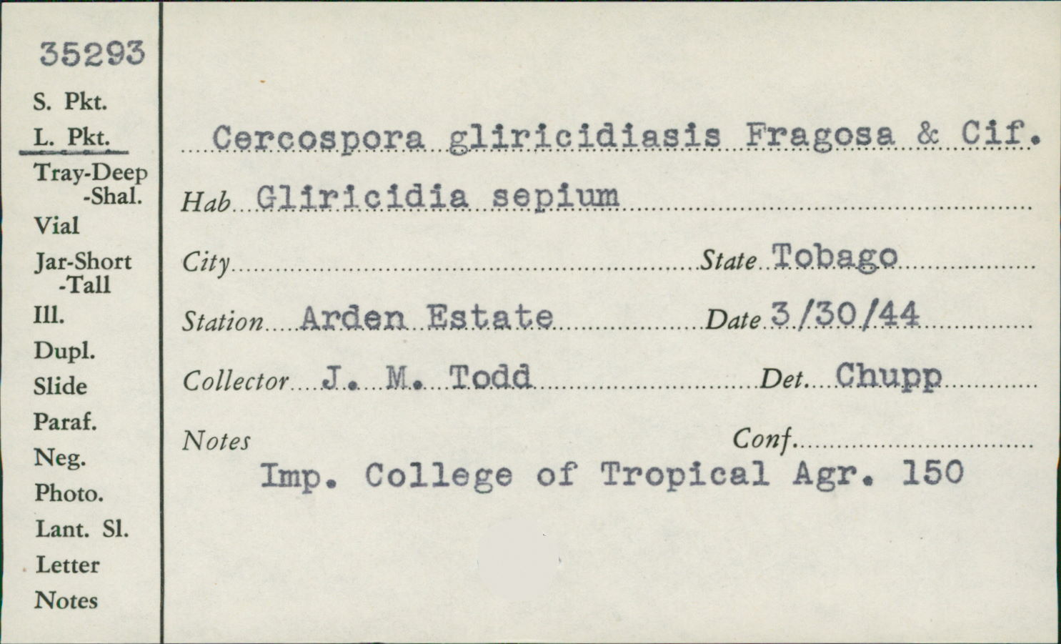 Passalora gliricidiasis image