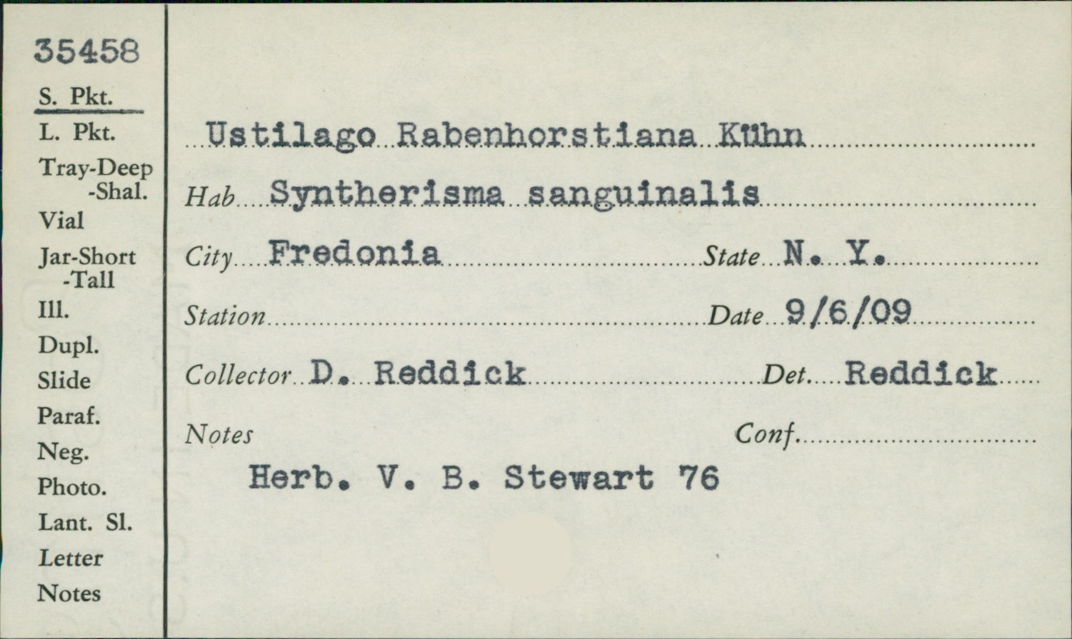 Ustilago rabenhorstiana image