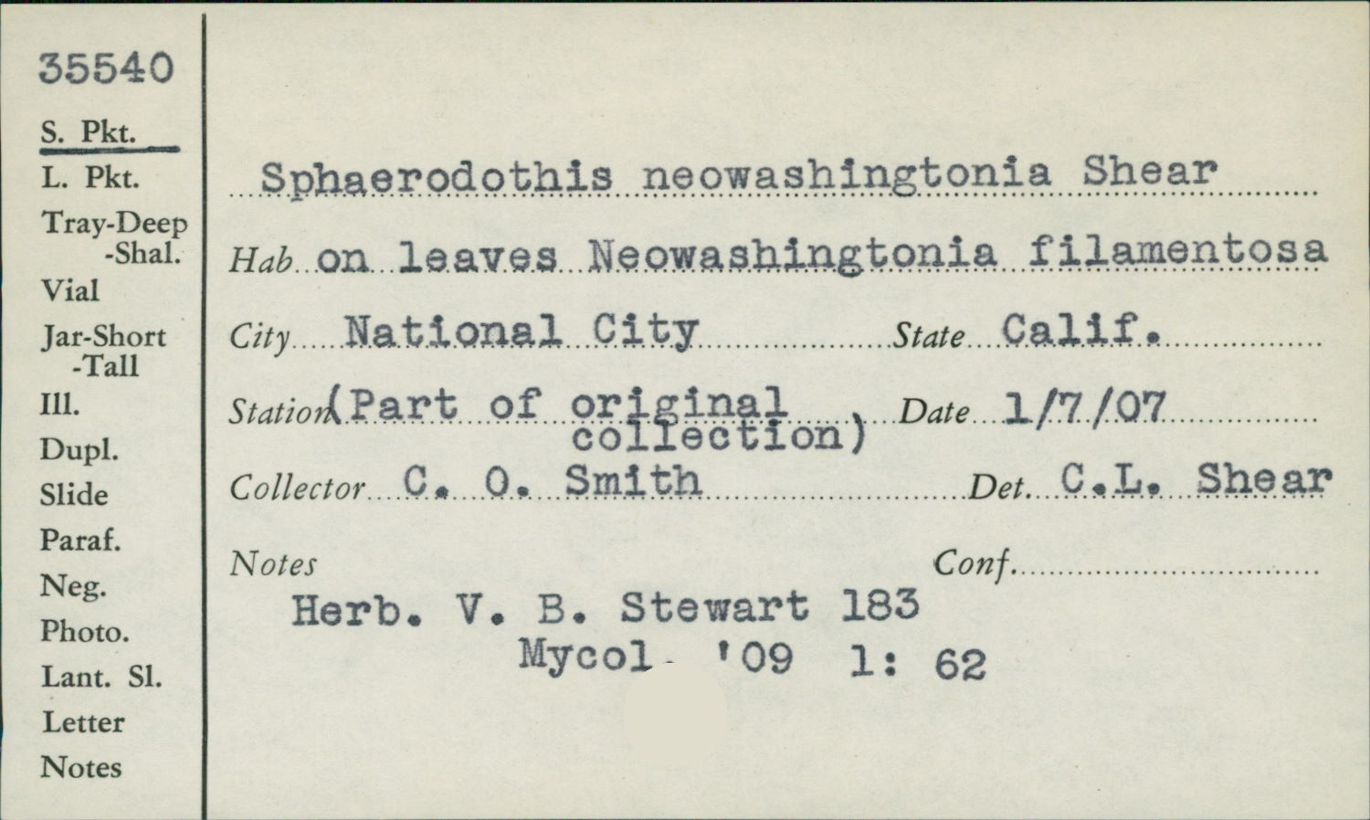 Sphaerodothis neowashingtoniae image