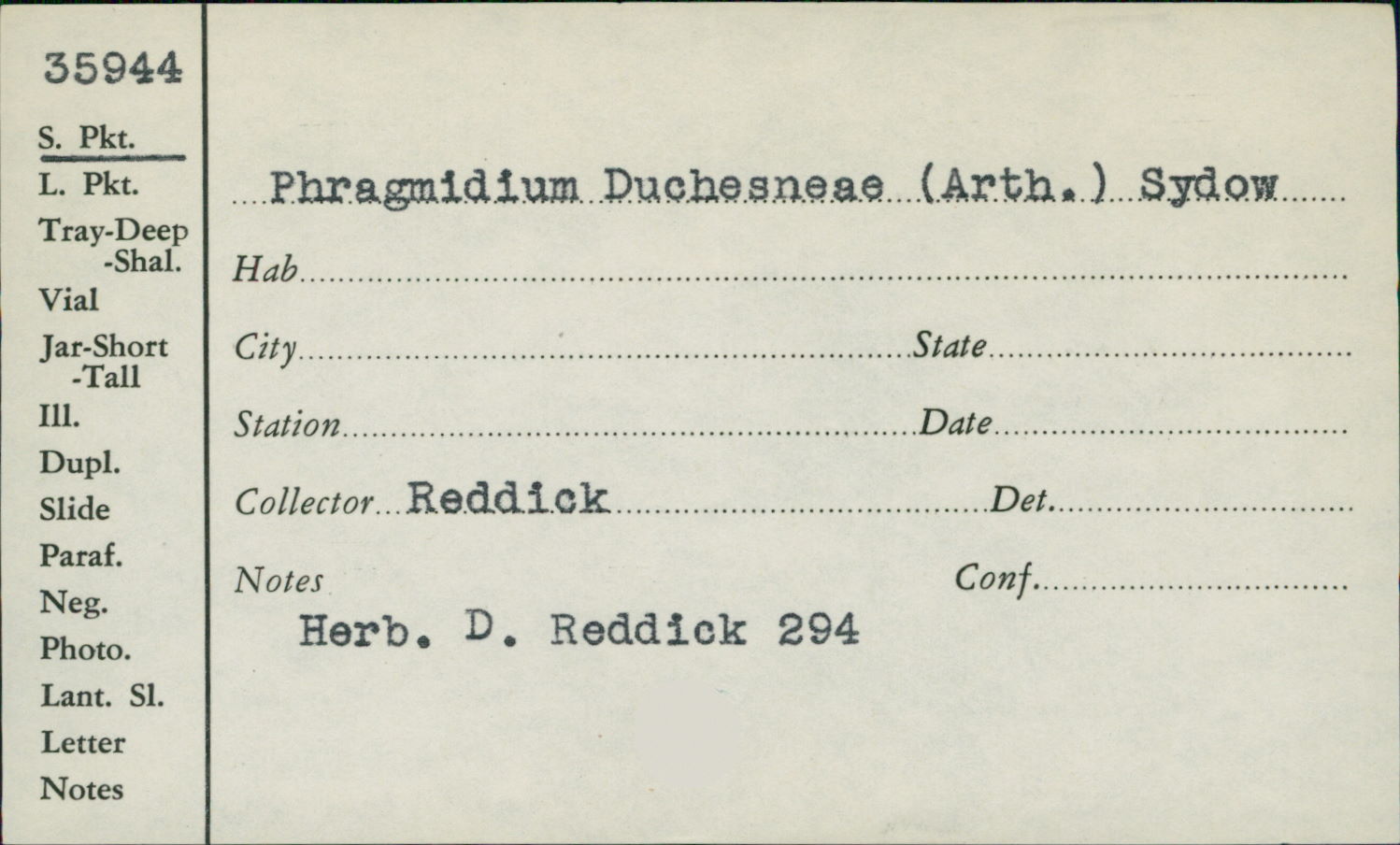 Phragmidium duchesneae image