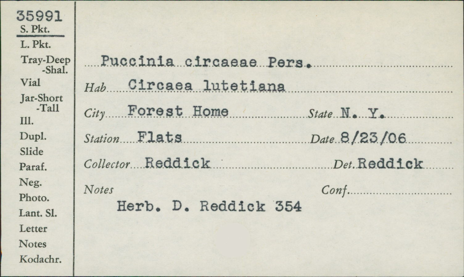 Puccinia circaeae image