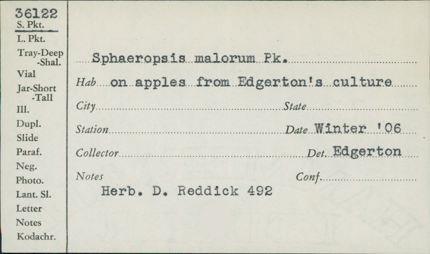 Botryosphaeria stevensii image