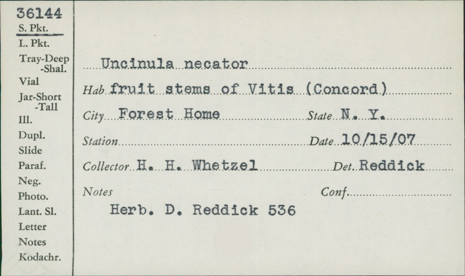 Necator image
