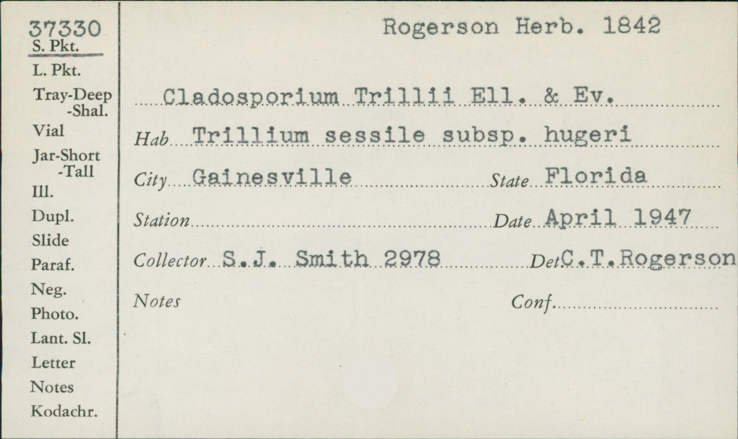 Cladosporium trillii image