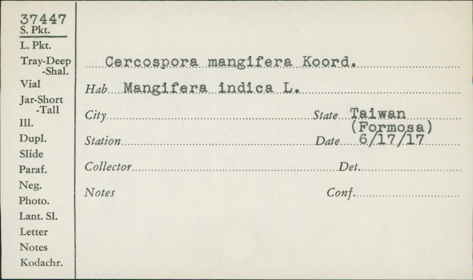 Cercospora mangiferae image
