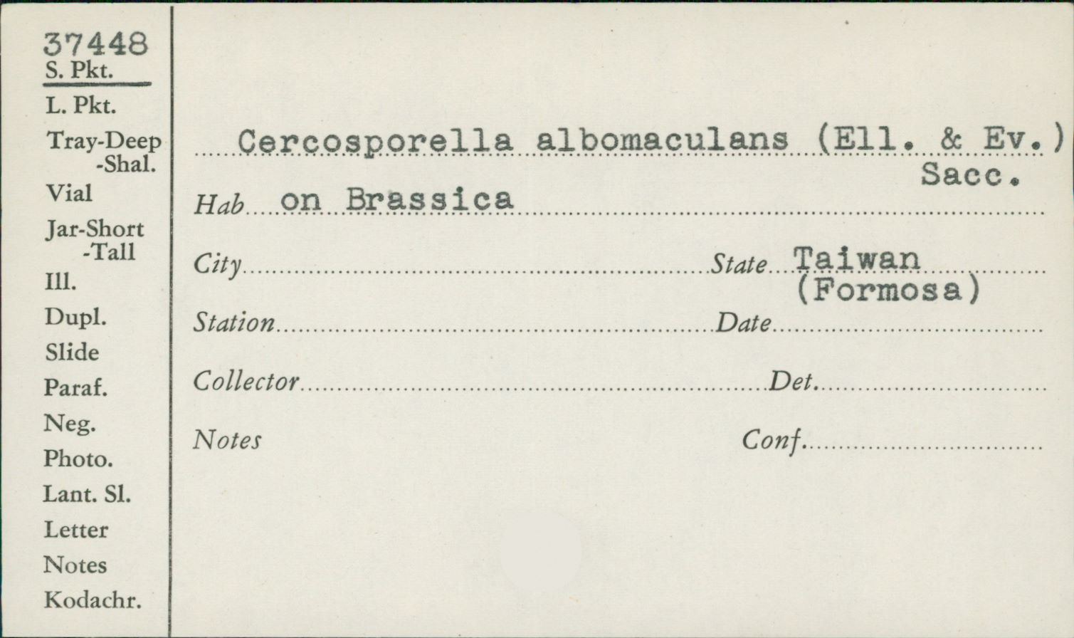 Pseudocercosporella capsellae image