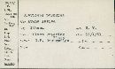 Claviceps purpurea image
