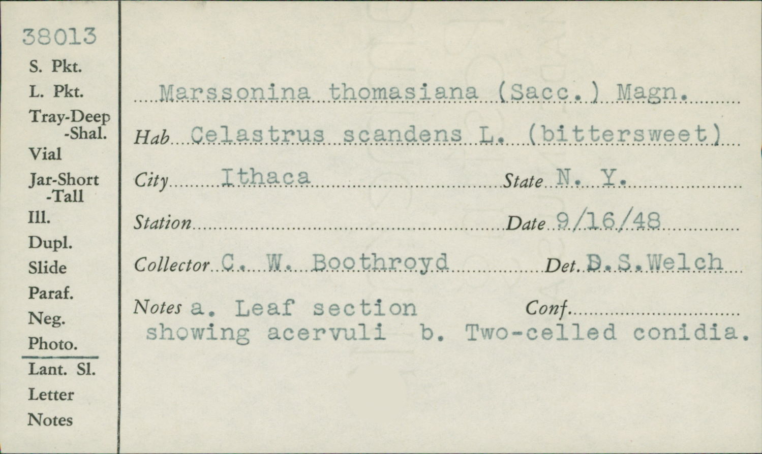 Marssonina image