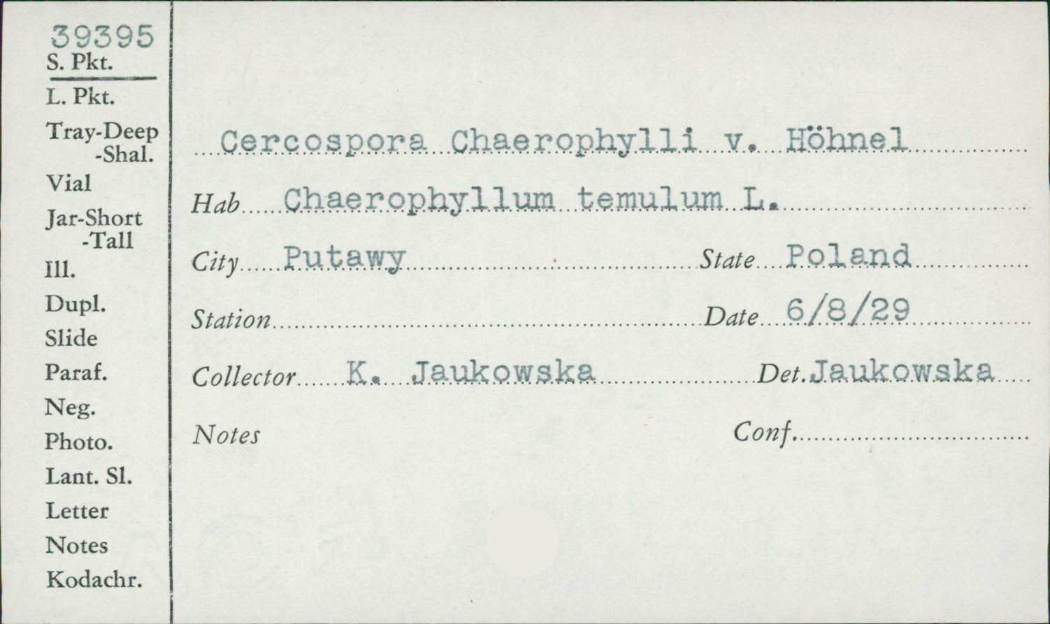 Cercospora chaerophylli image