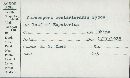Cercospora costaricensis image