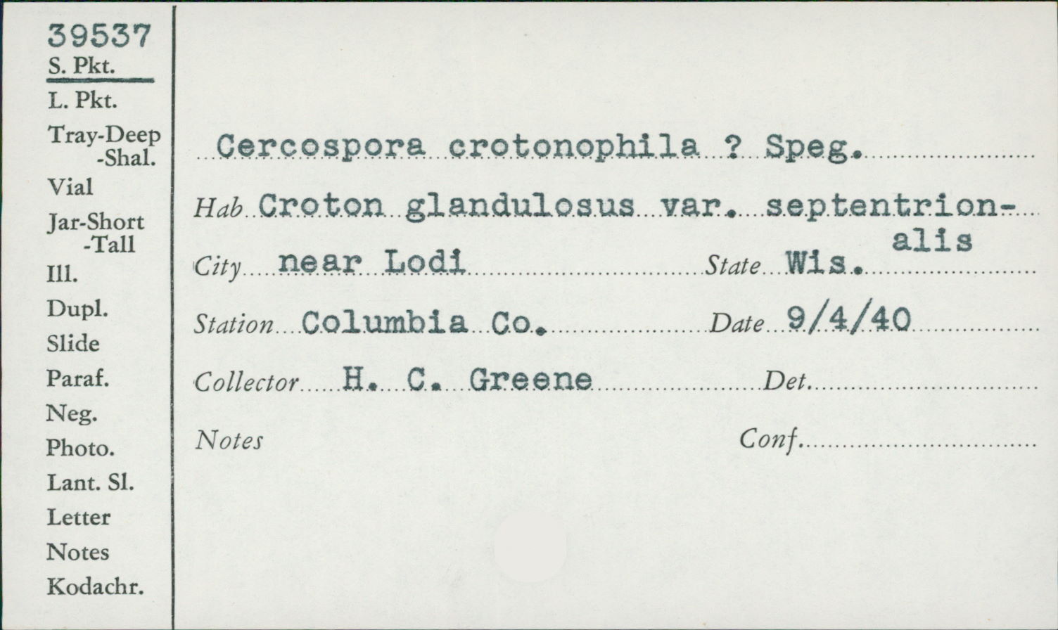Cercospora crotonophila image