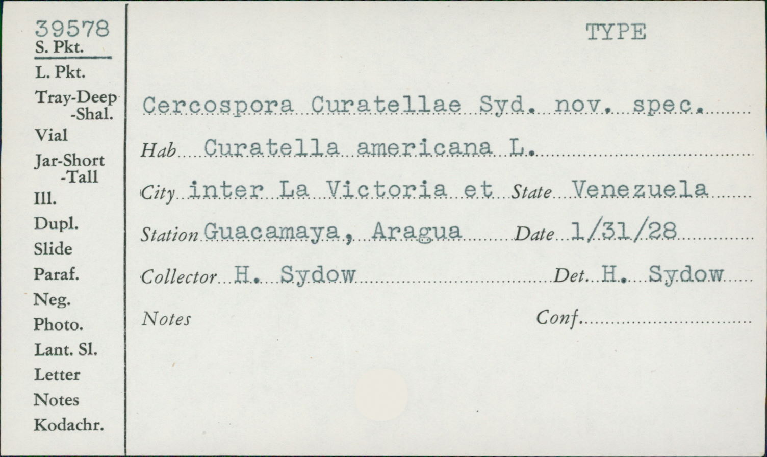 Cercospora curatellae image