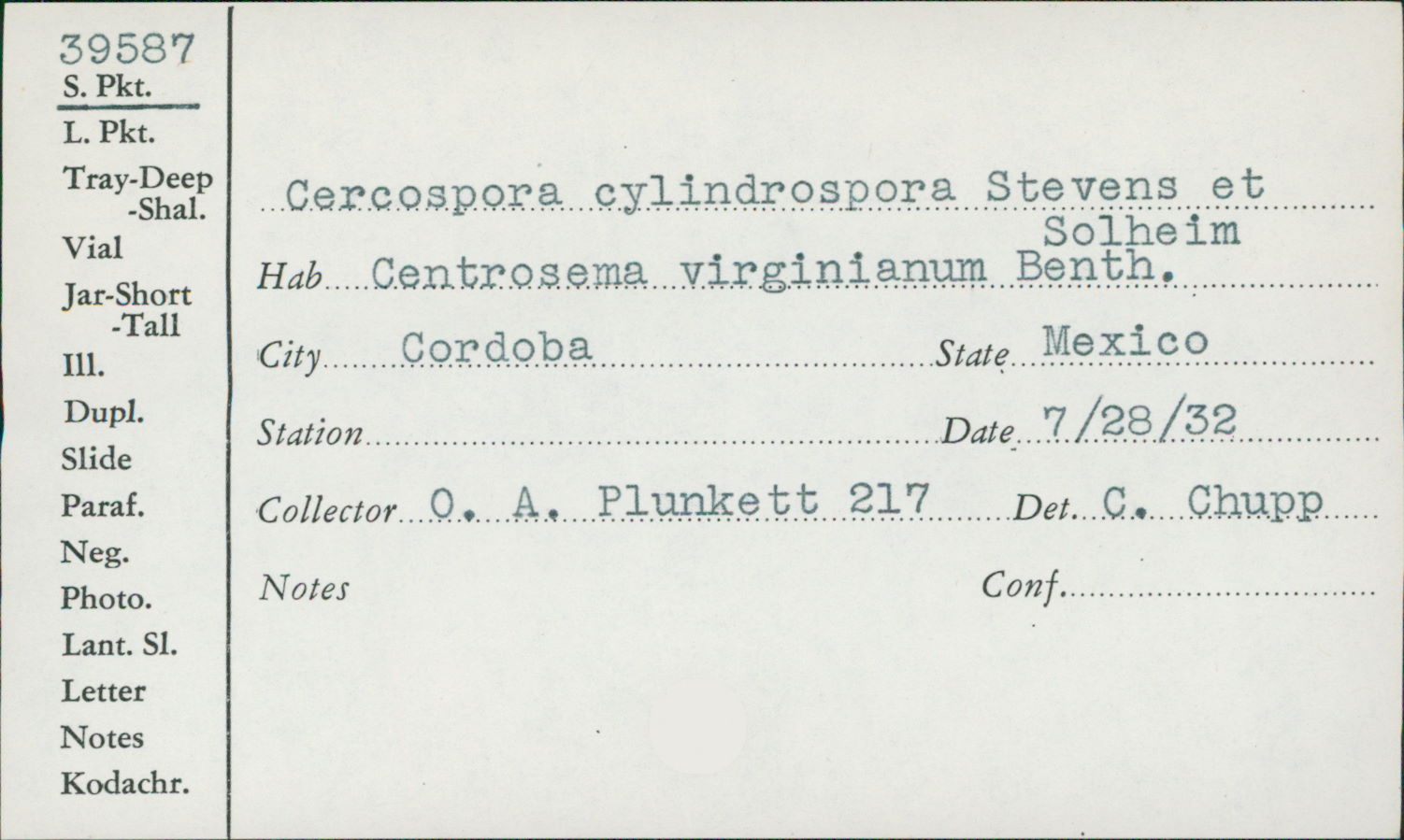 Cercospora cylindrospora image