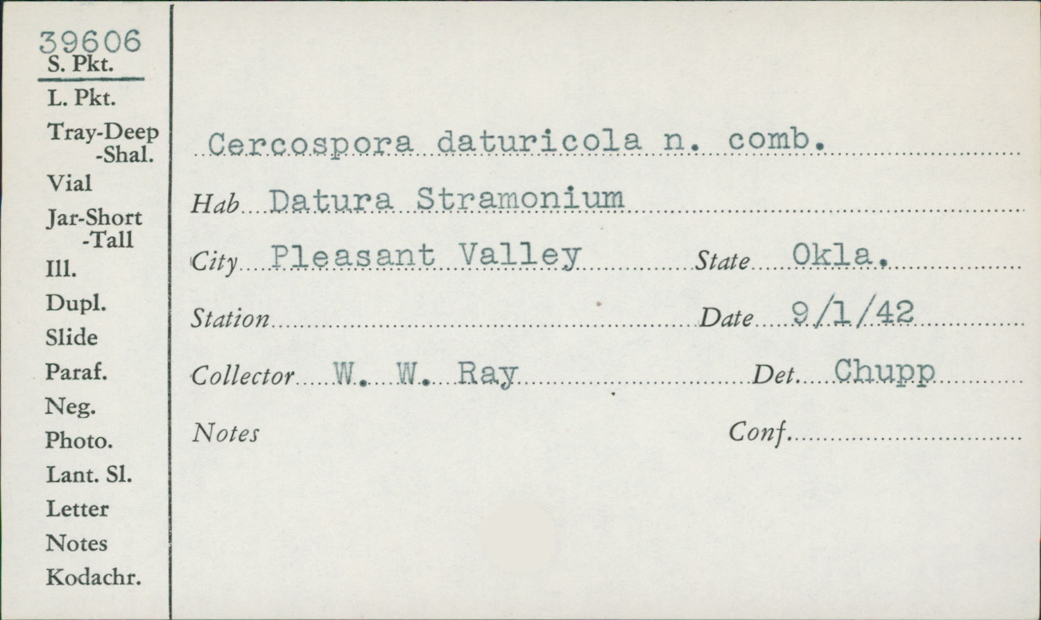 Cercospora daturicola image