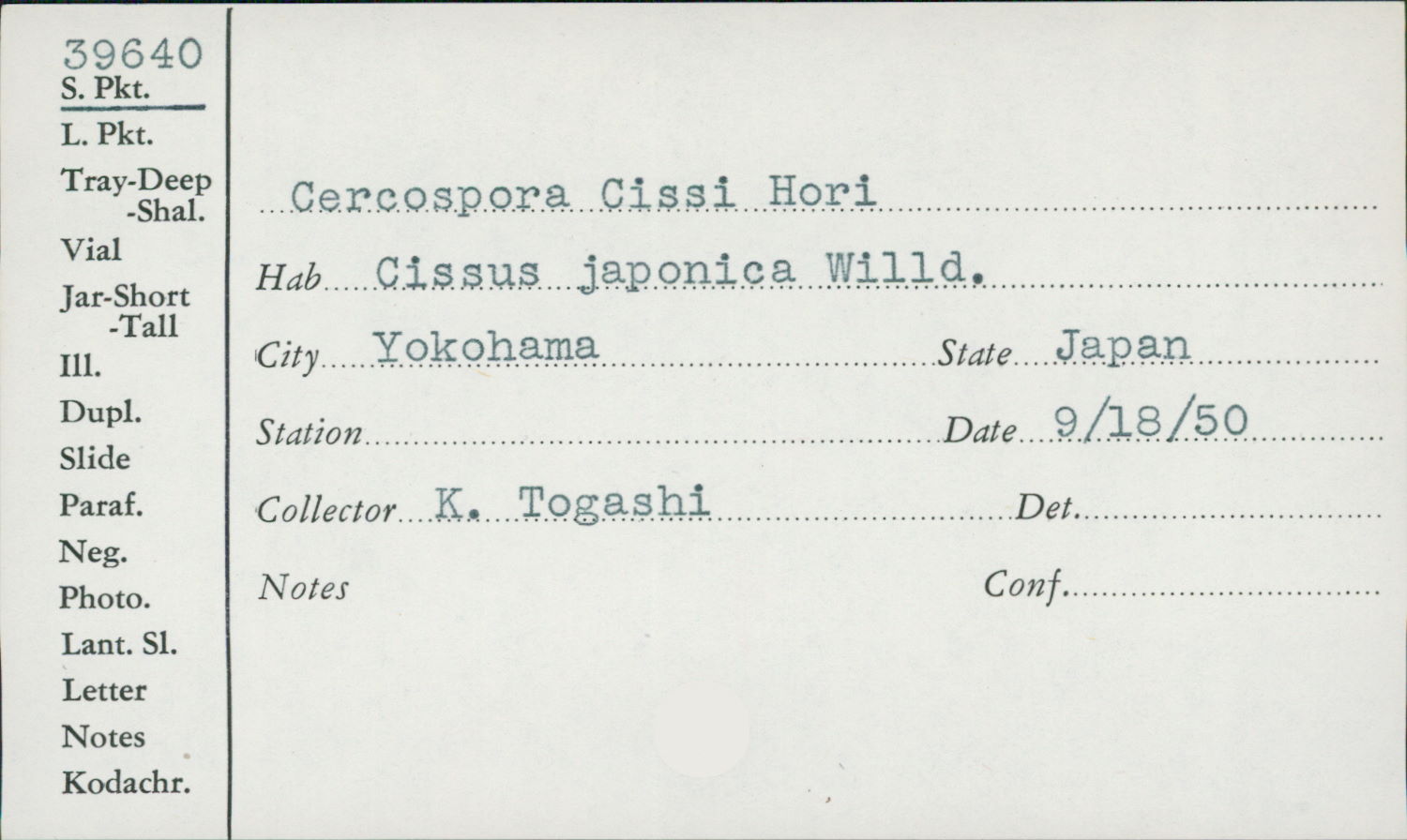 Cercospora cissi-japonicae image