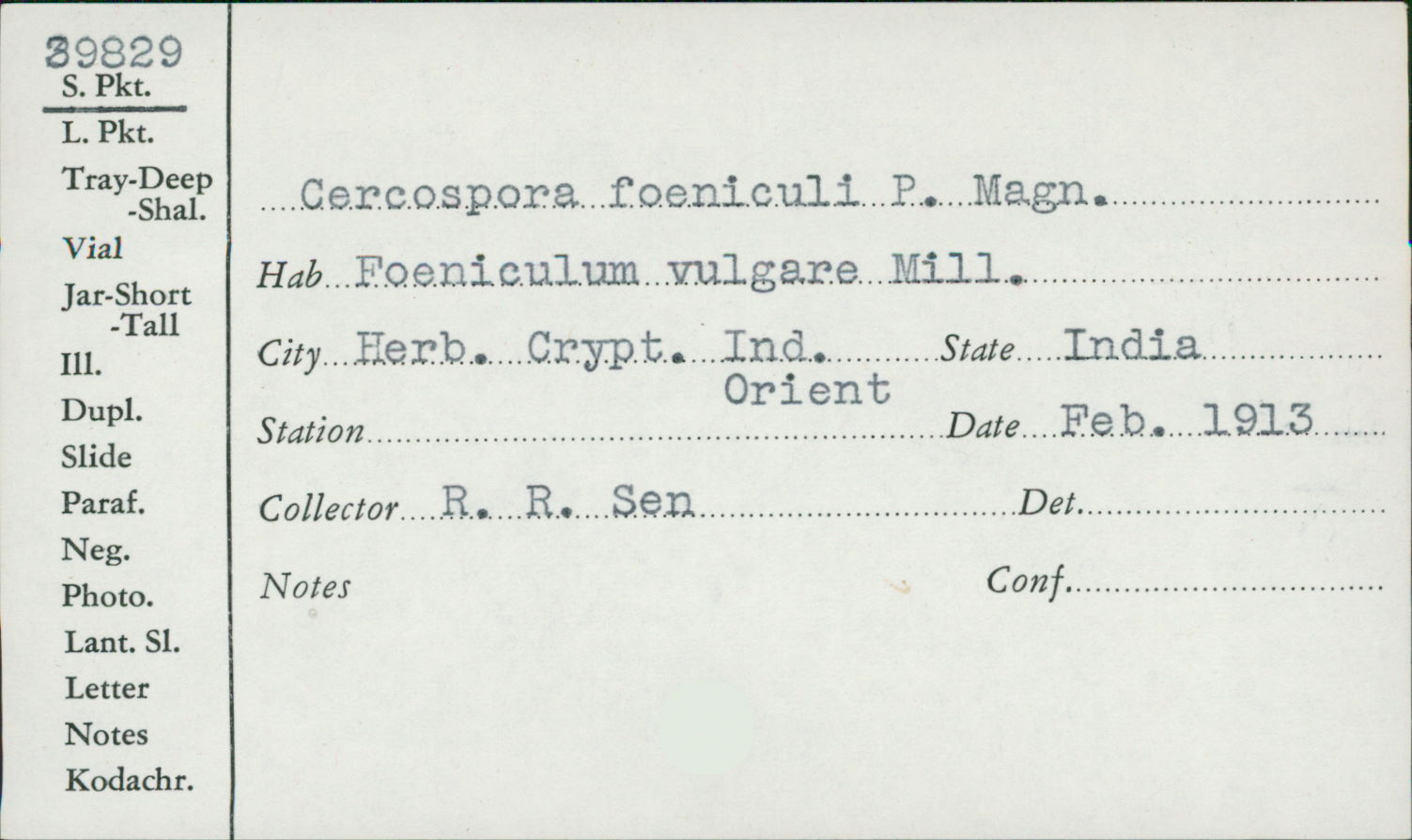 Cercospora foeniculi image