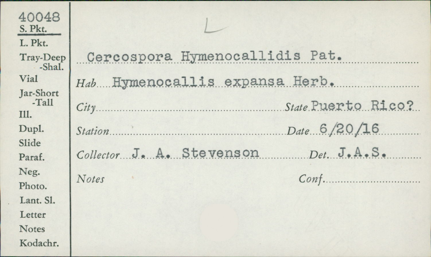 Cercospora hymenocallidis image