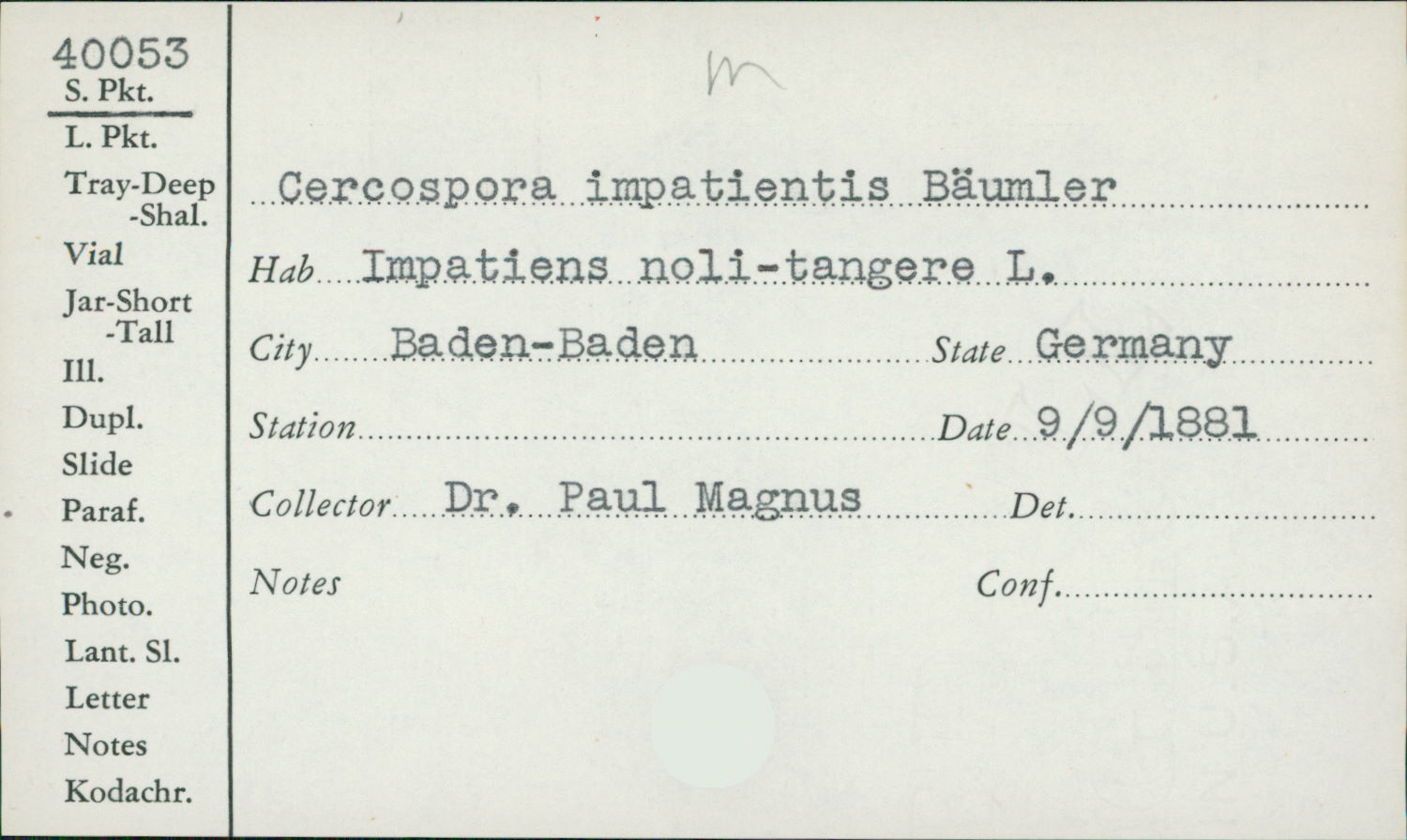Cercospora impatientis image
