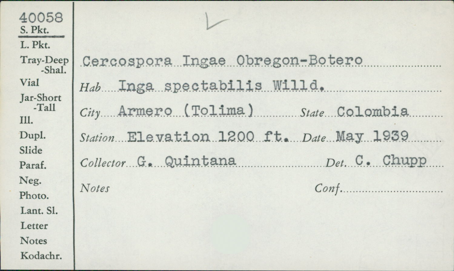 Cercospora ingae image