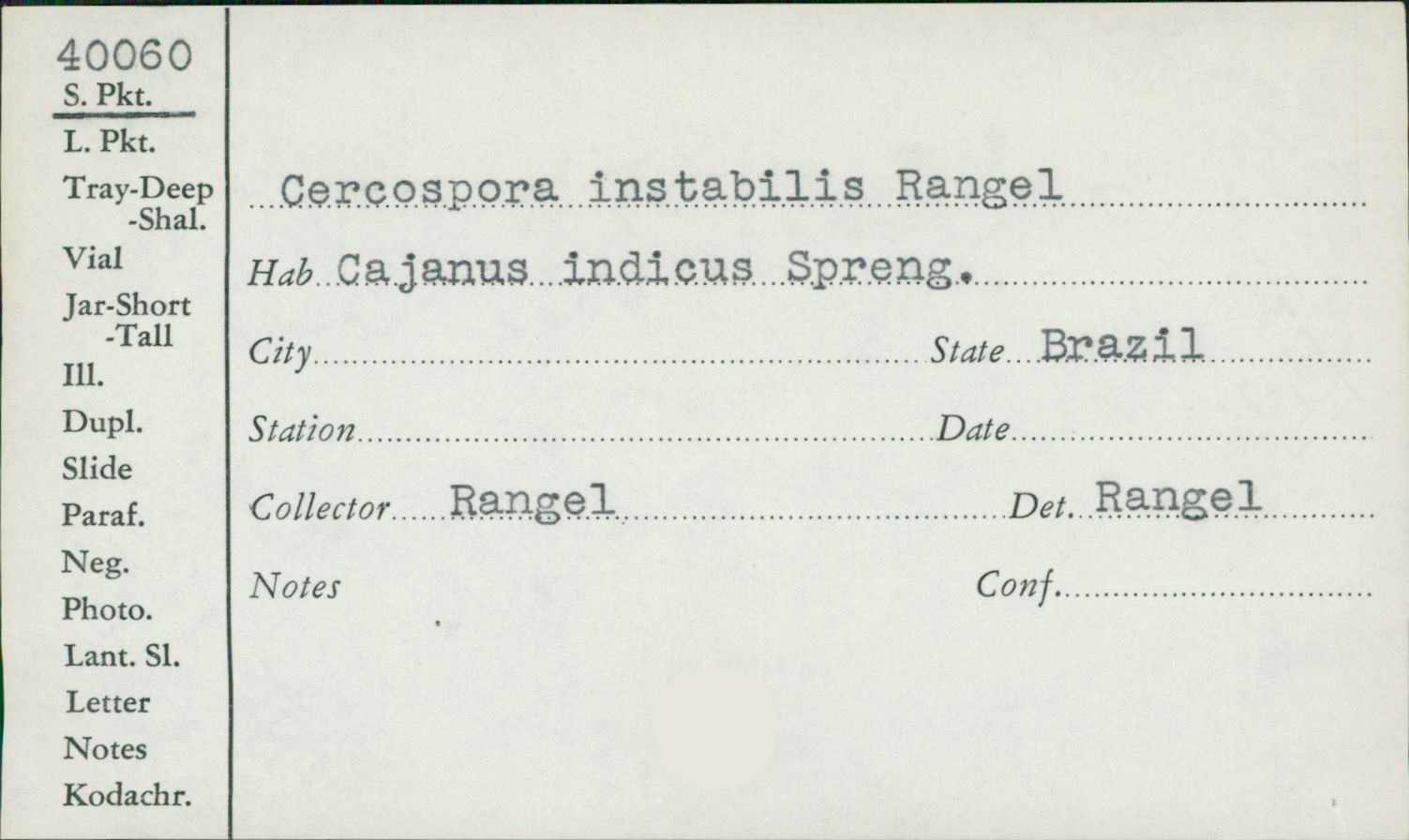 Cercospora instabilis image