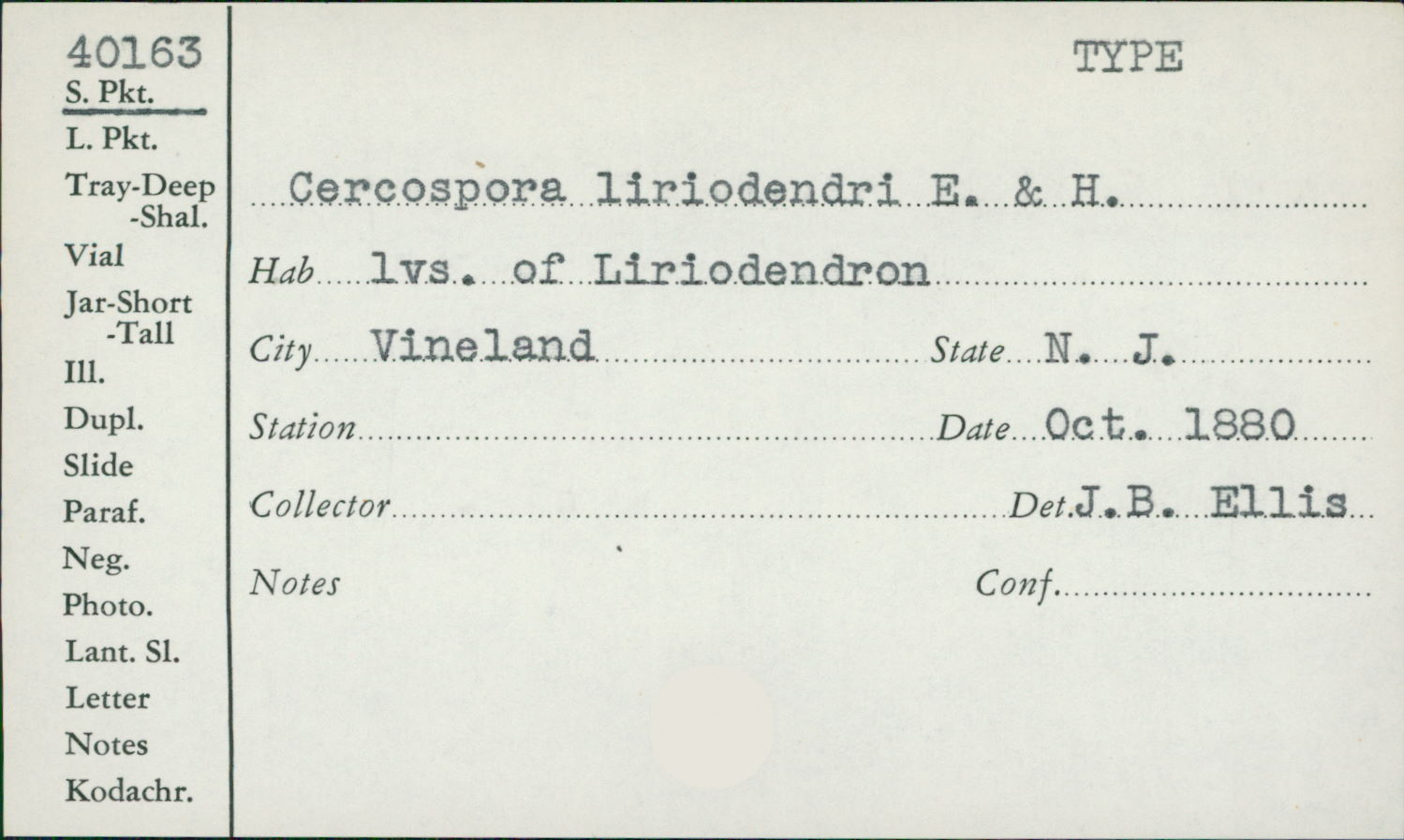 Passalora liriodendri image