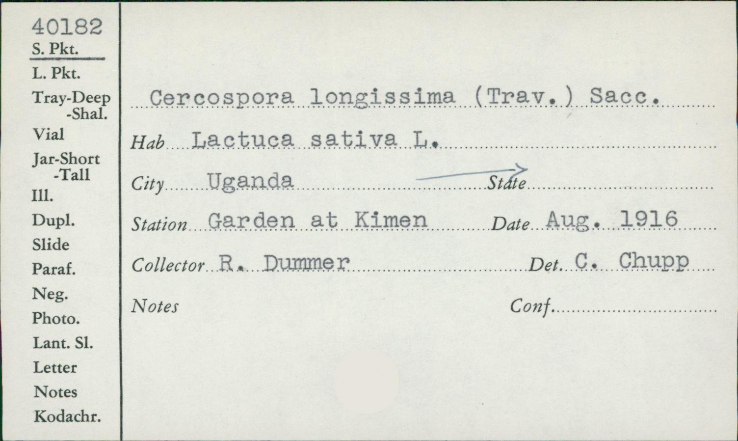 Cercospora longissima image