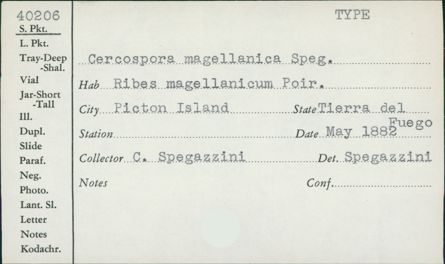 Cercospora magellanica image