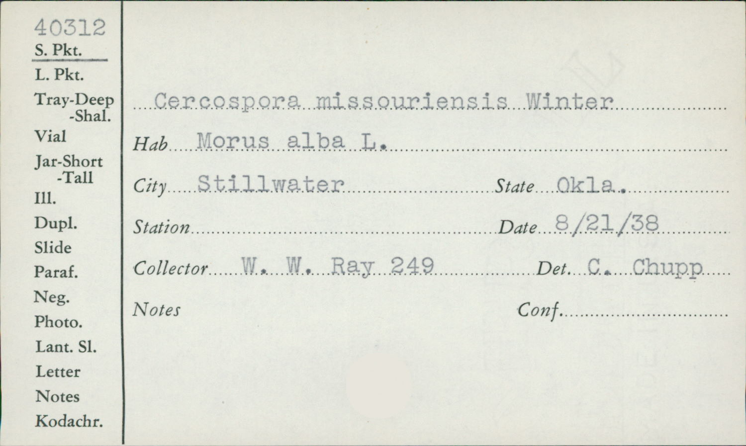 Cercospora missouriensis image