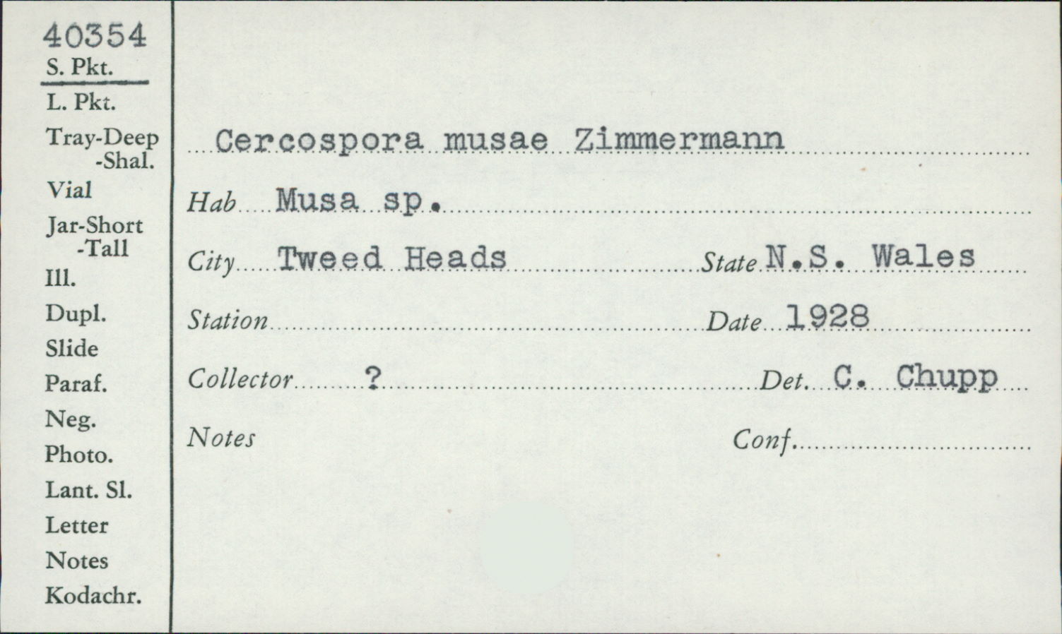 Mycosphaerella musicola image
