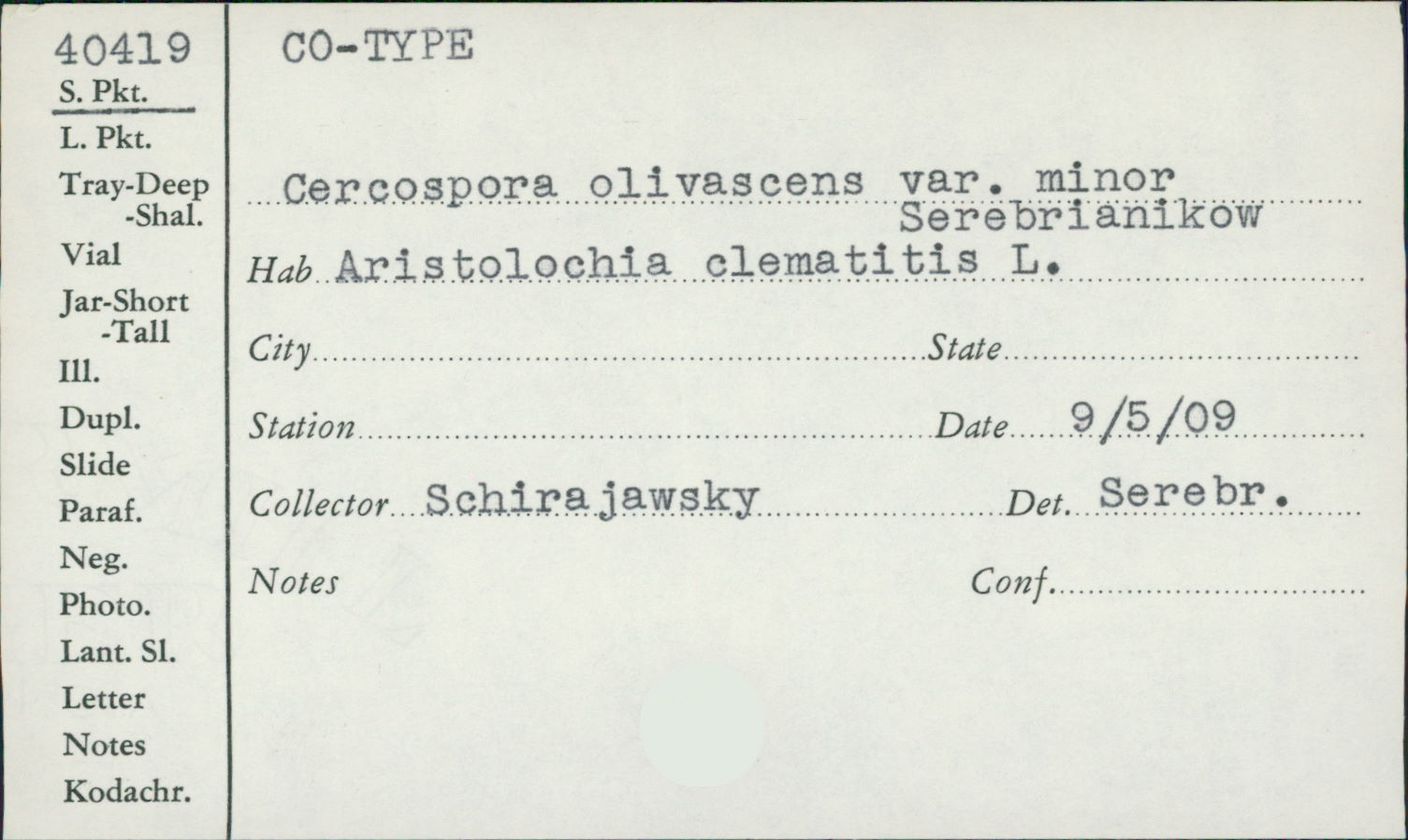 Cercospora olivascens var. minor image