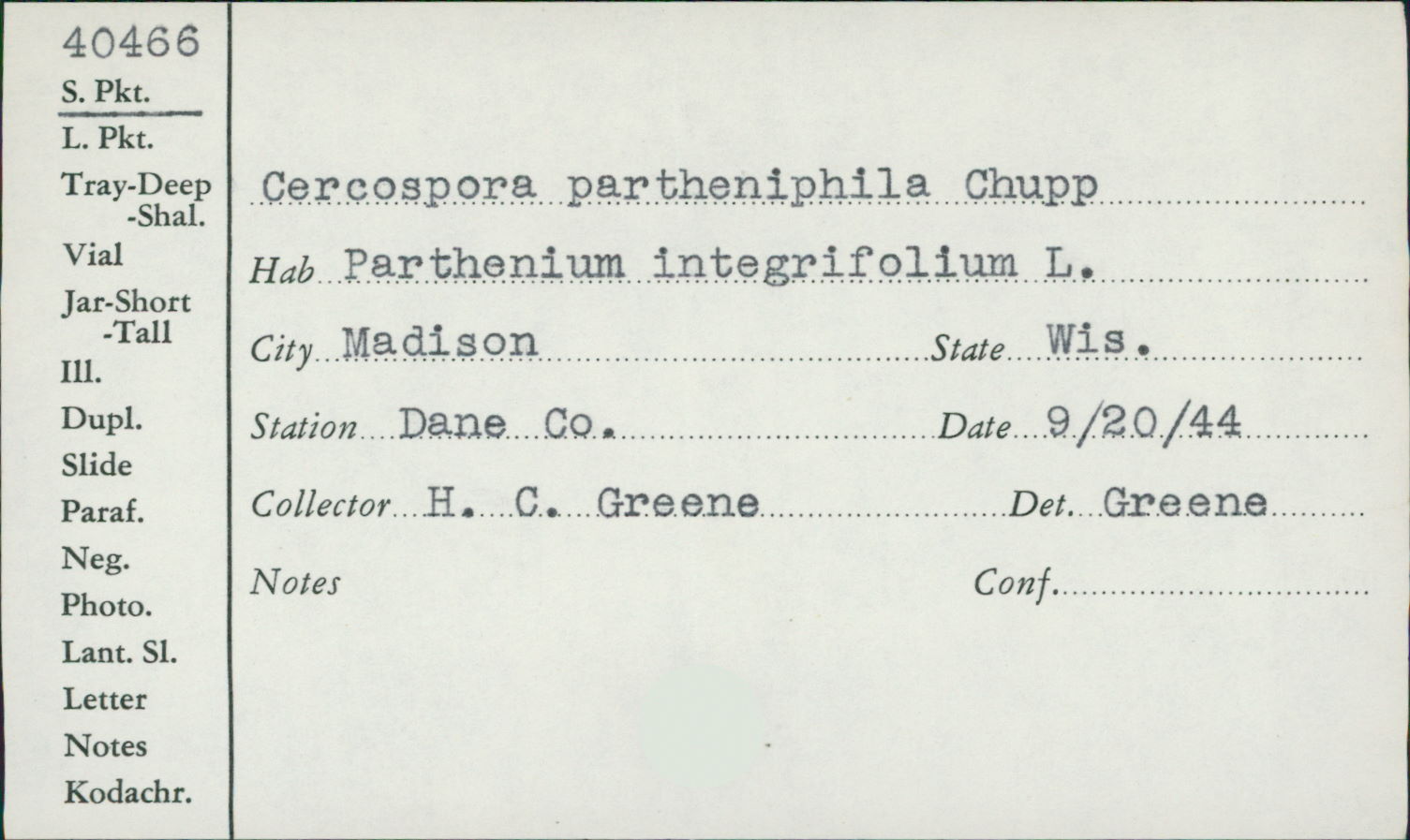 Cercospora partheniiphila image