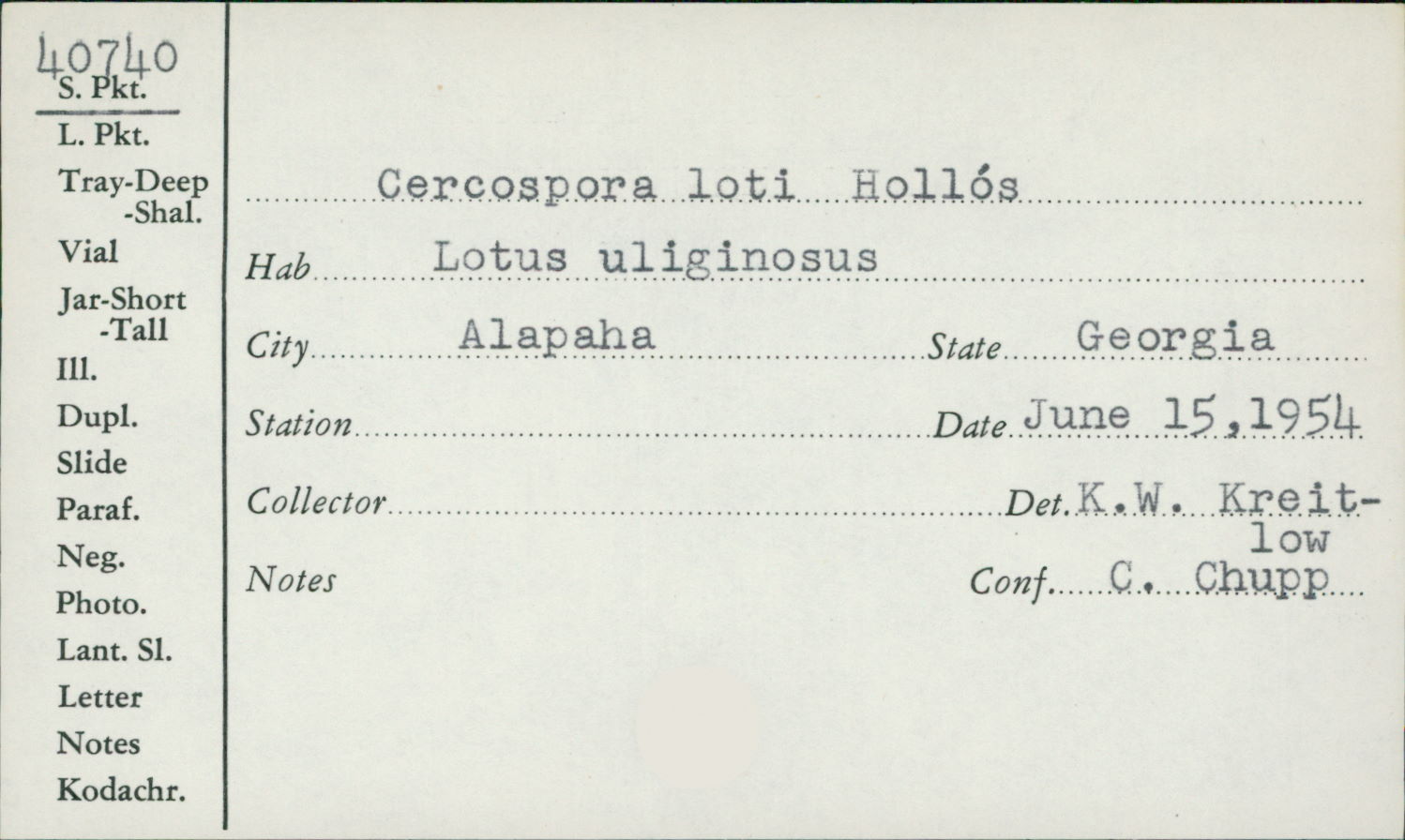 Cercospora loti image
