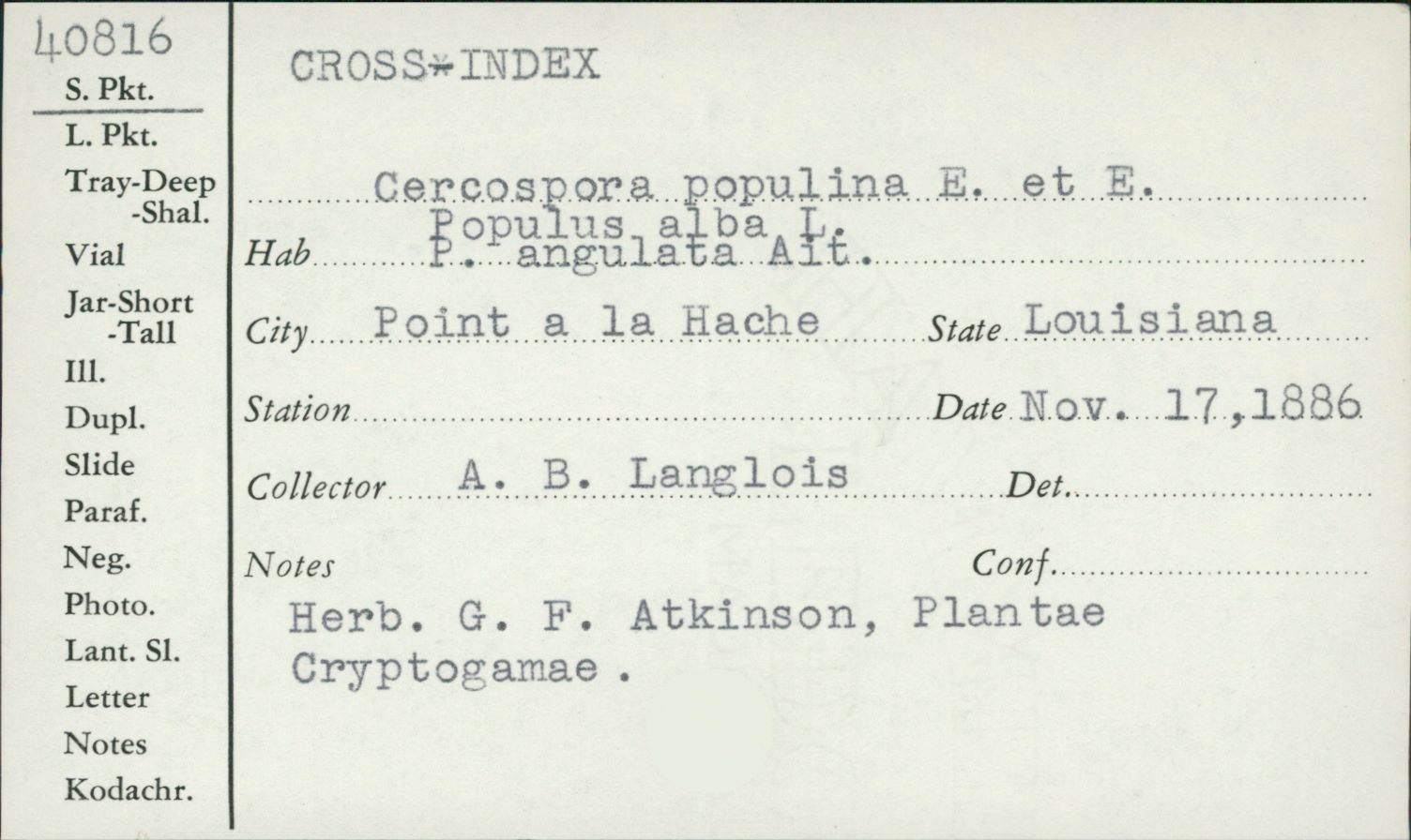 Cercospora populina image