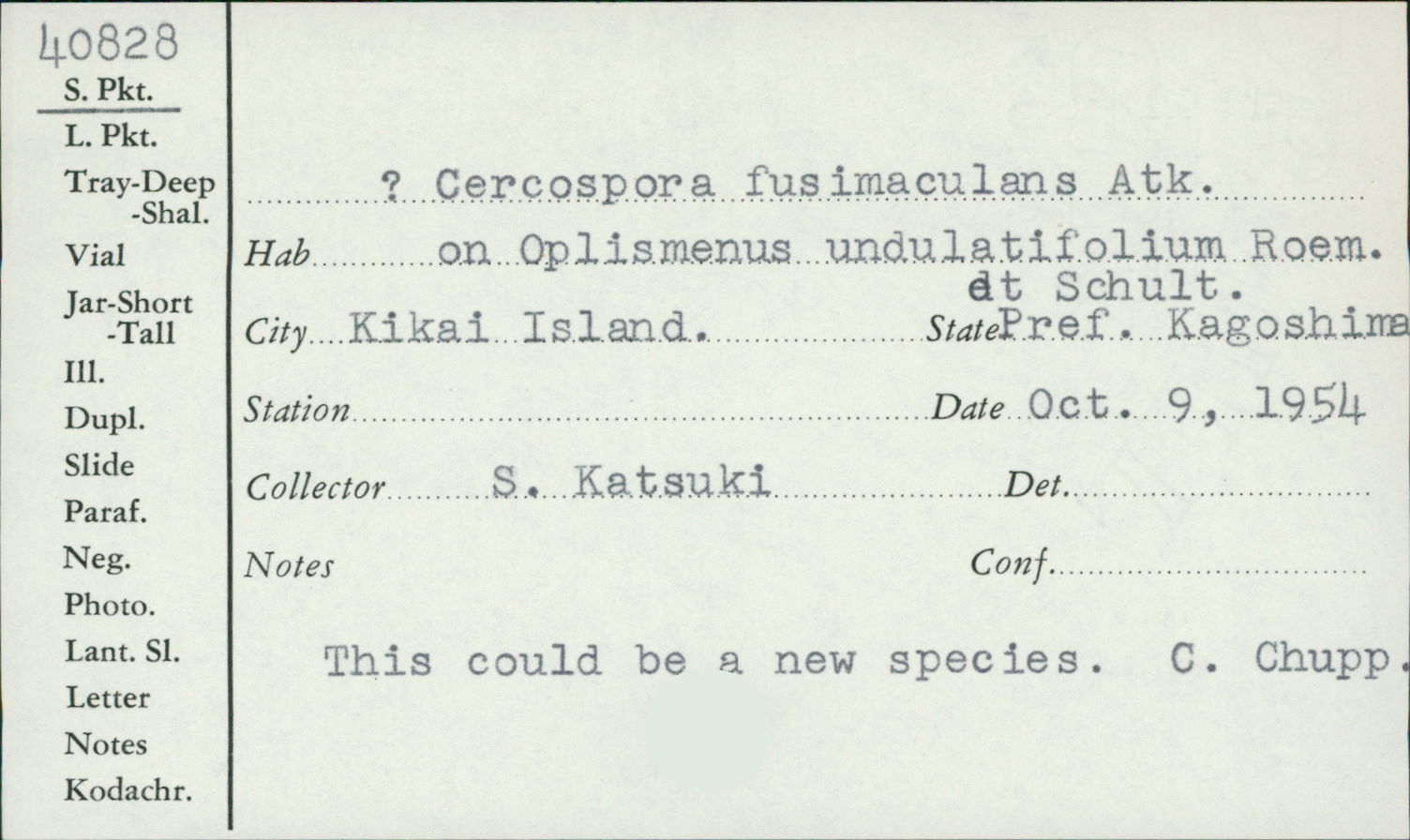 Passalora fusimaculans image