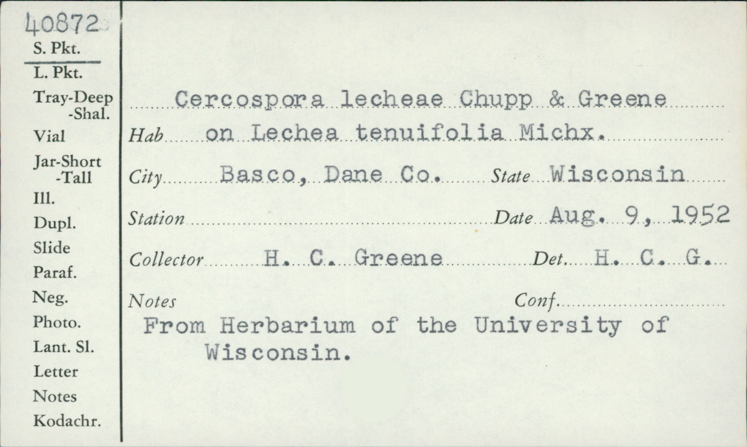 Cercospora lecheae image