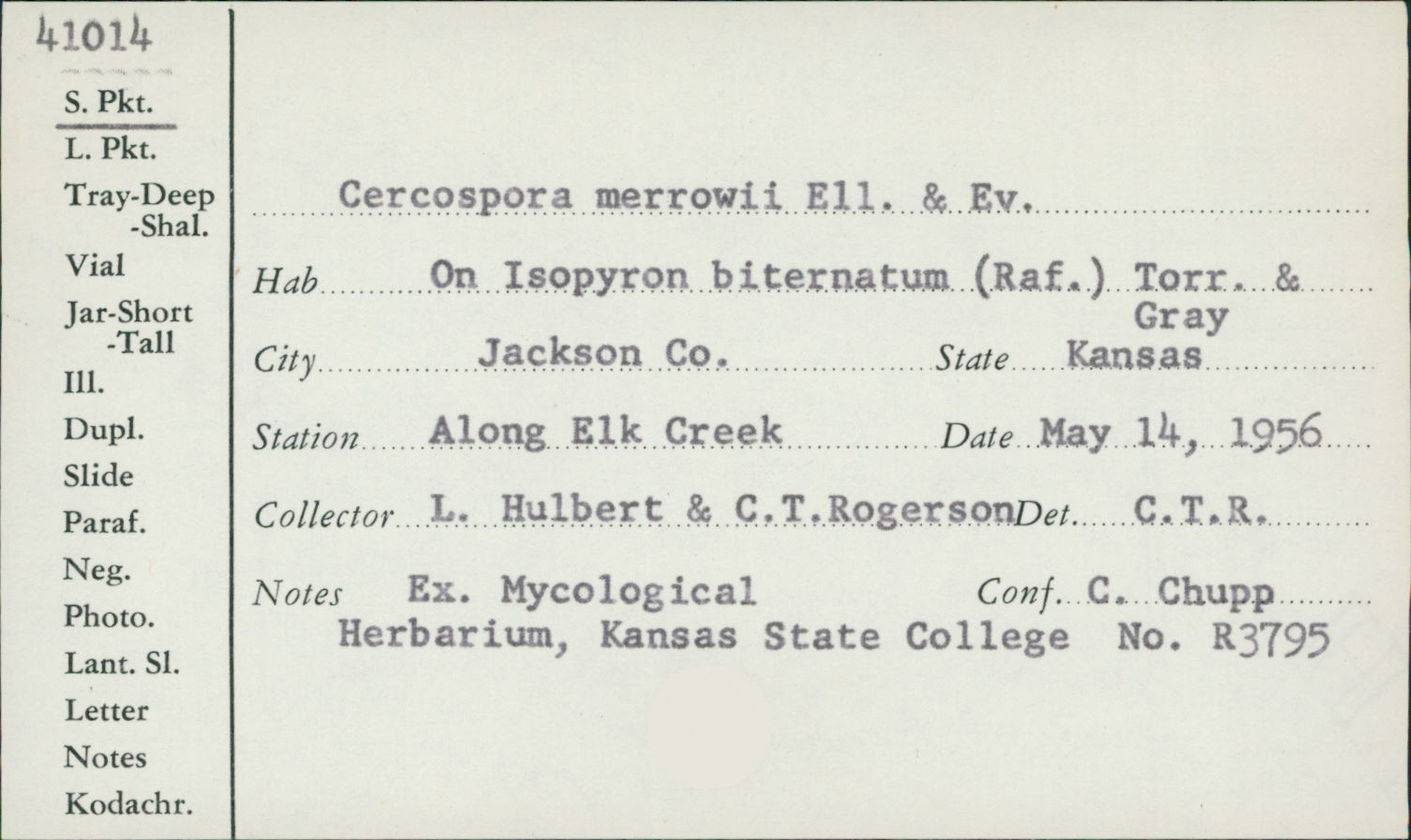 Cercospora merrowii image