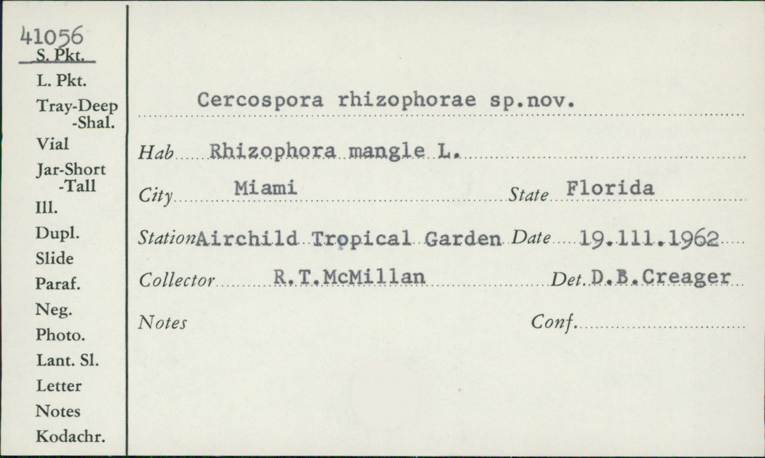 Cercospora rhizophorae image