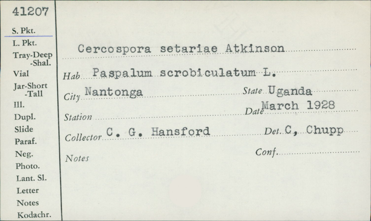 Cercospora setariae image