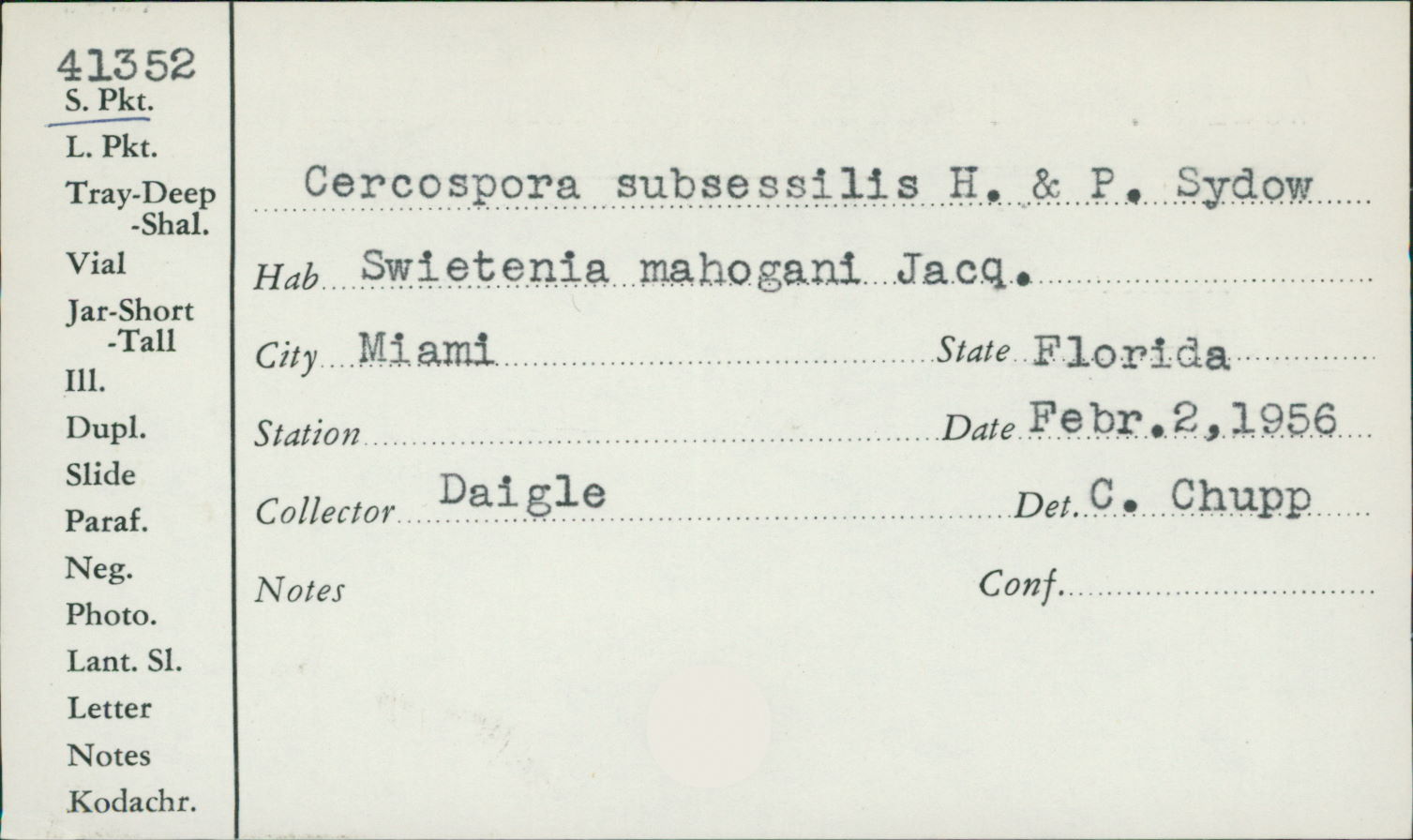 Pseudocercospora subsessilis image