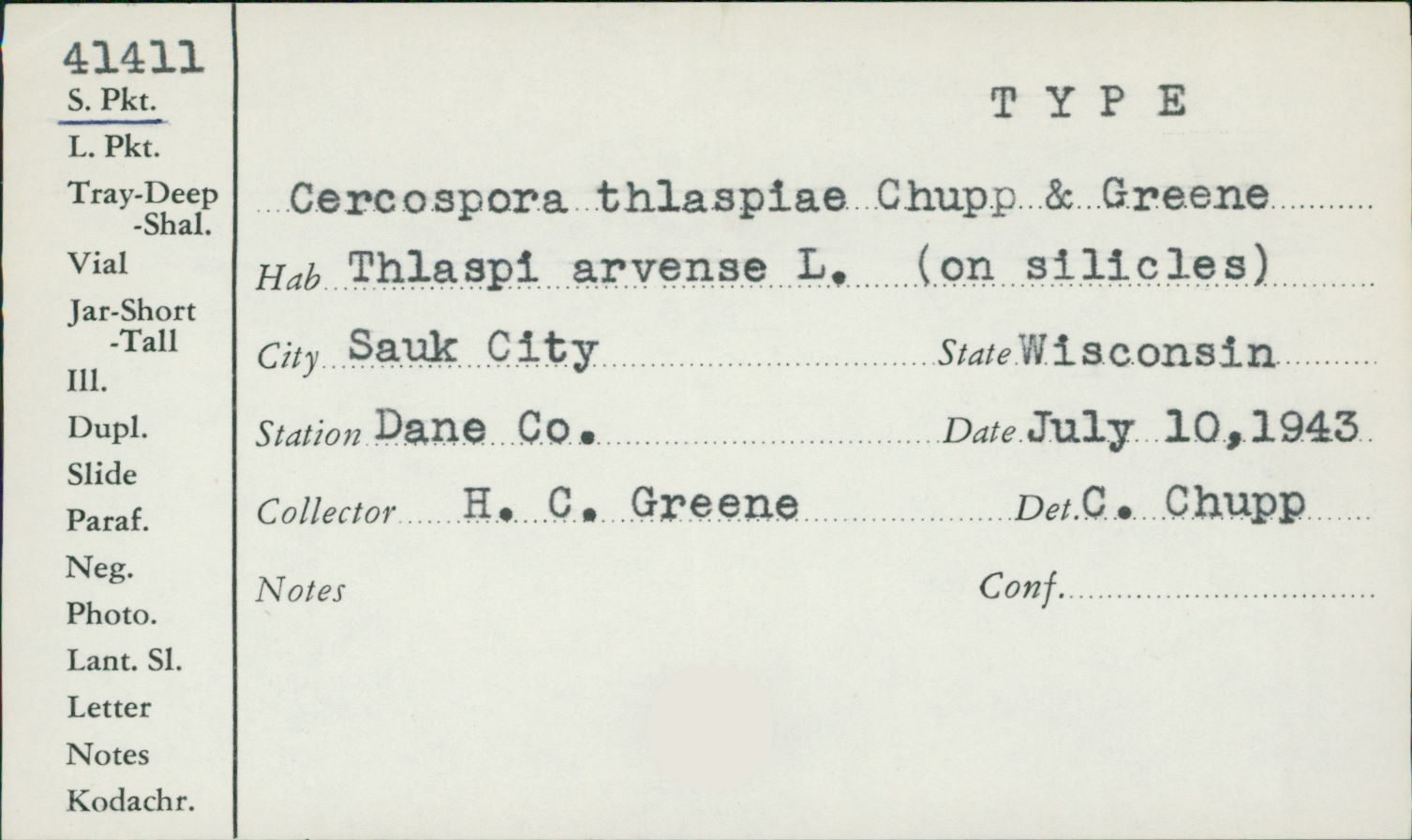 Cercospora thlaspeos image