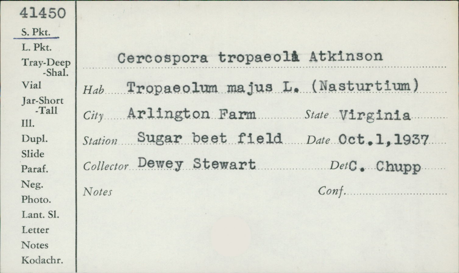 Cercospora tropaeoli image