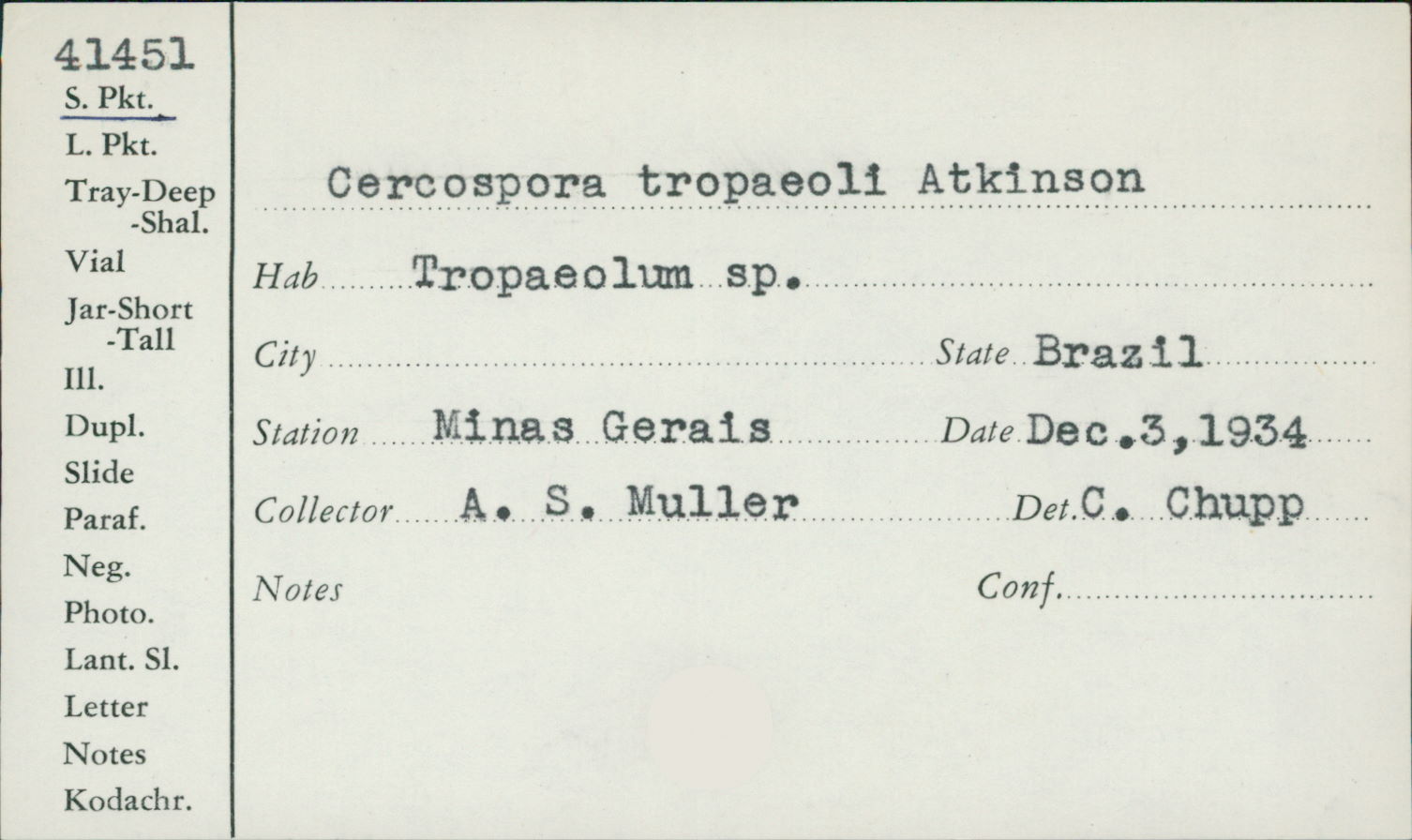 Cercospora tropaeoli image