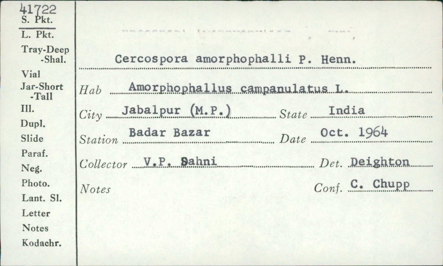 Cercospora amorphophalli image