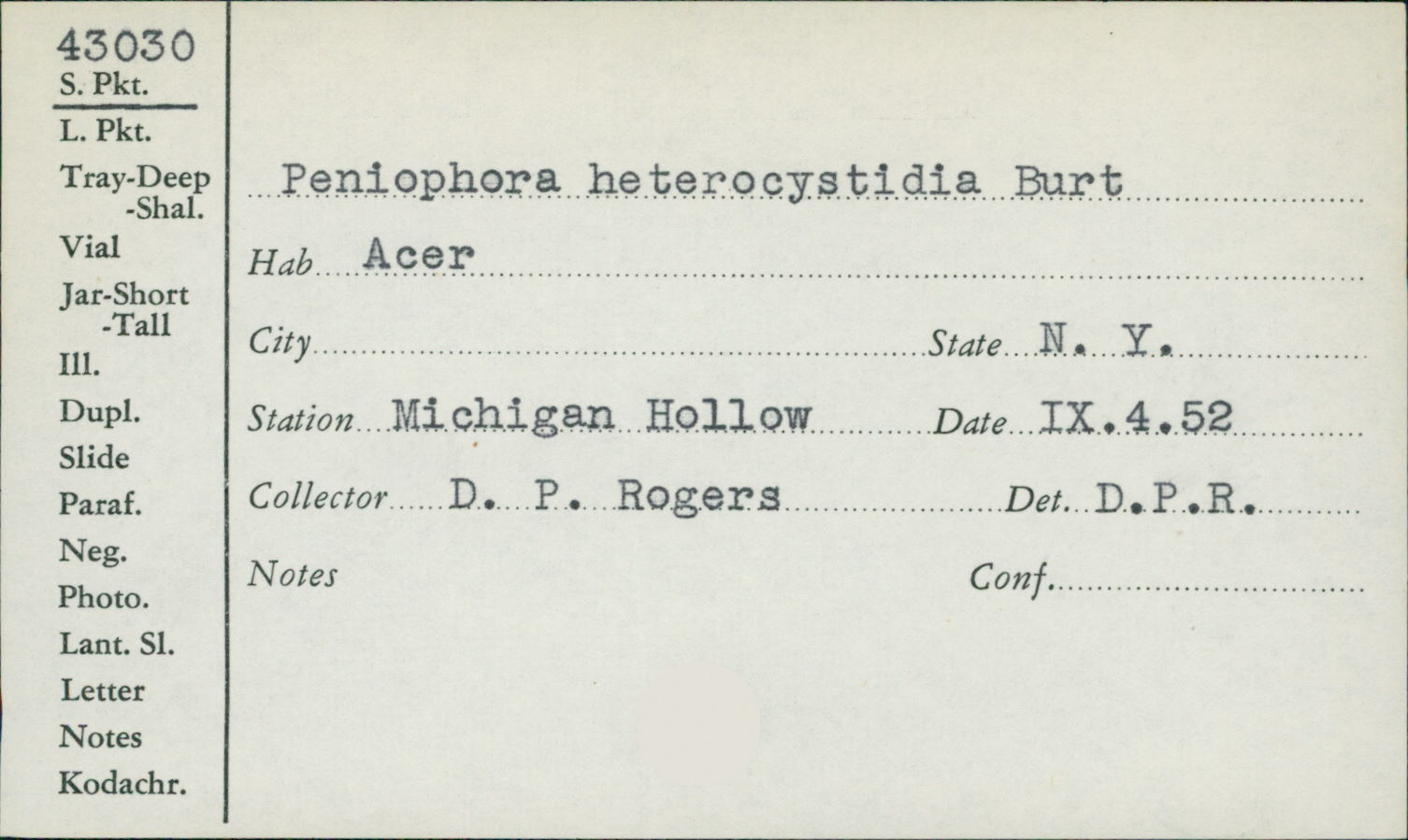 Mutatoderma heterocystidiatum image