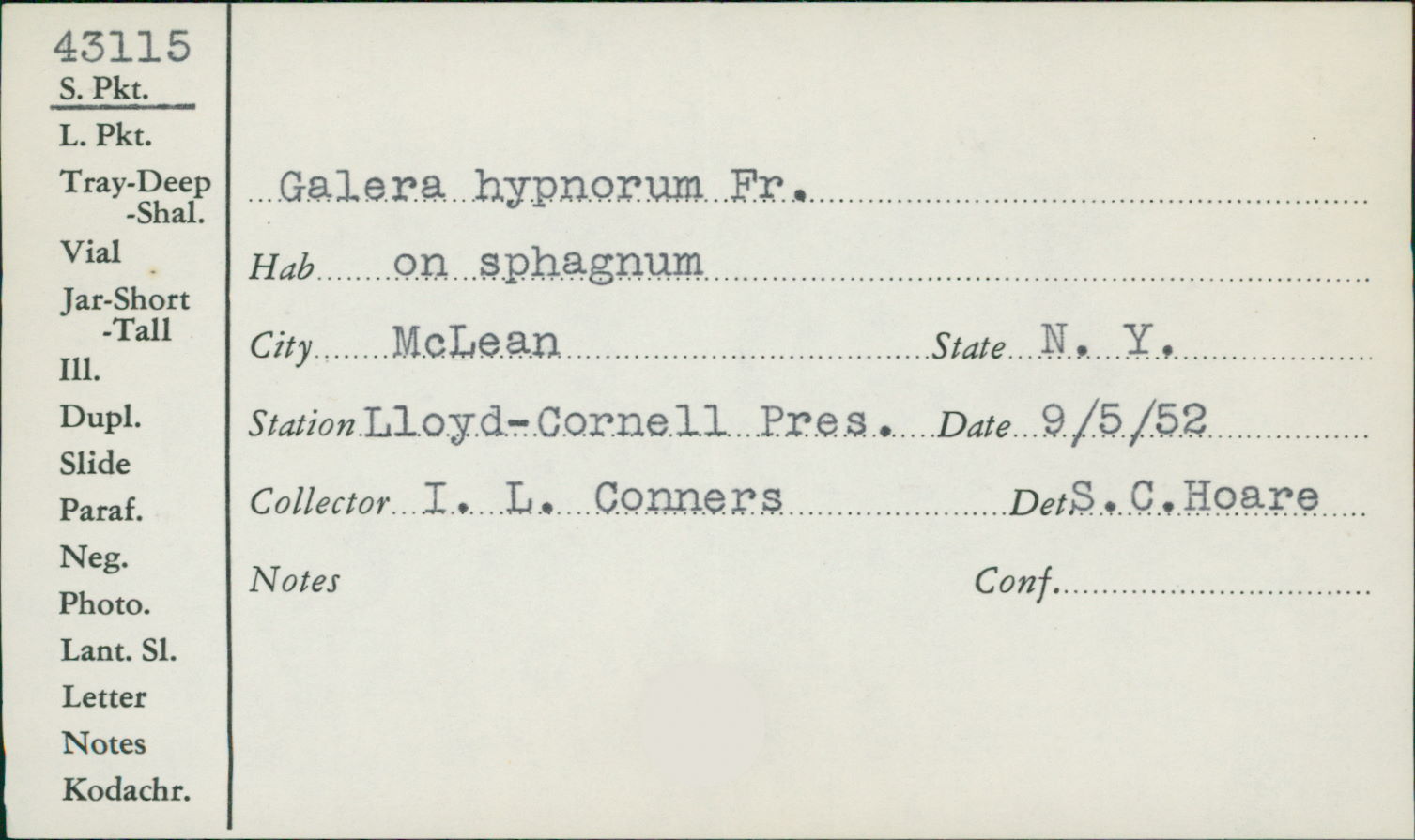 Galerina hypnorum image