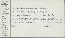 Annulohypoxylon cohaerens image